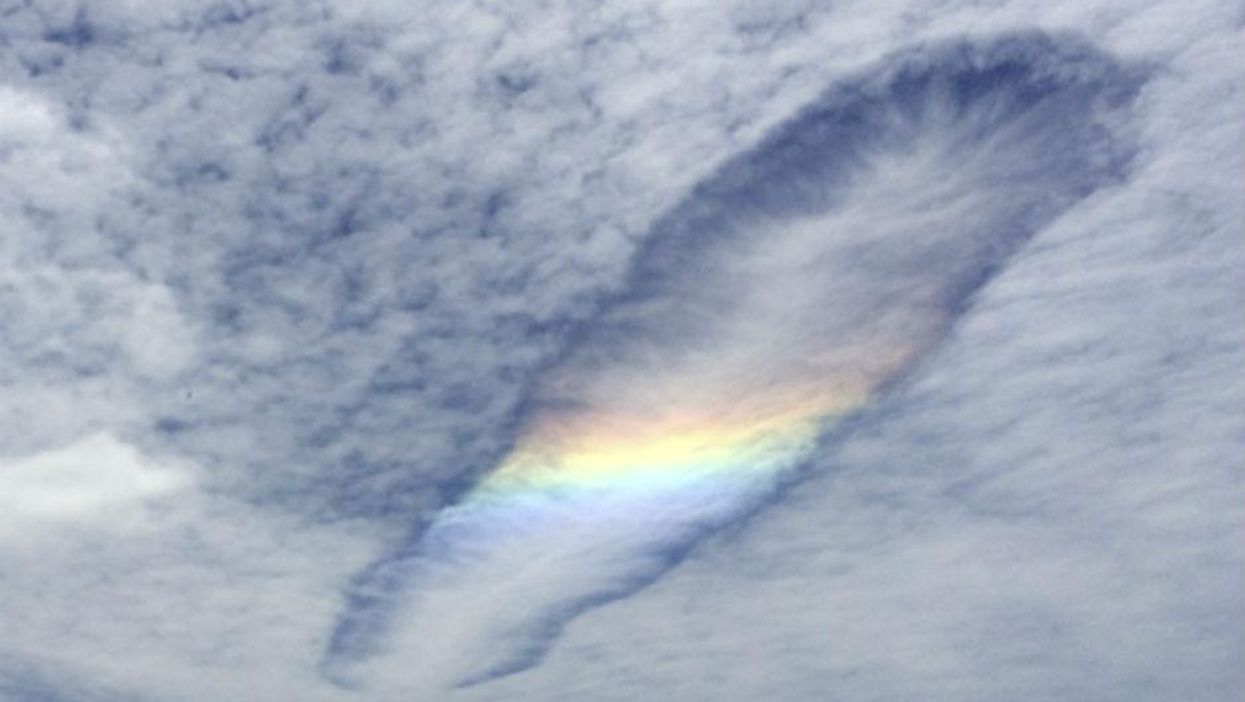 (Picture: AP/Leesa Willmott