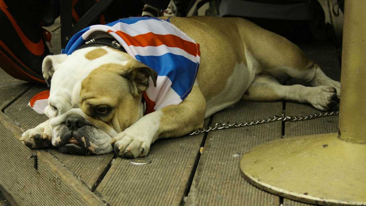 Picture: Catrin Austin/Flickr