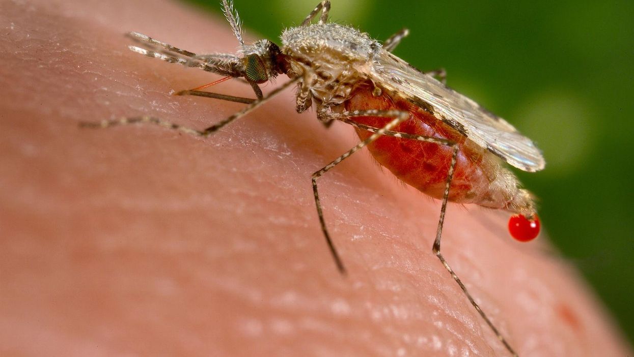 (Picture: CDC/Handout