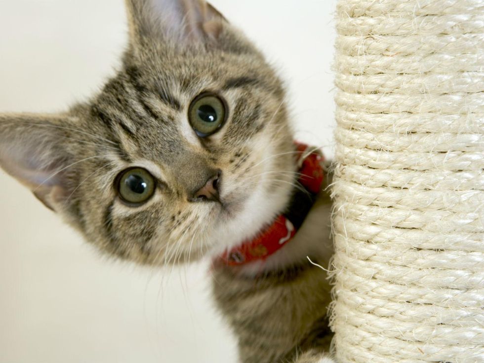 Picture: ChrisAt/iStock