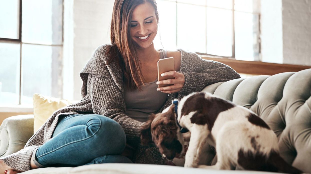 Picture: iStock/ damedeeso