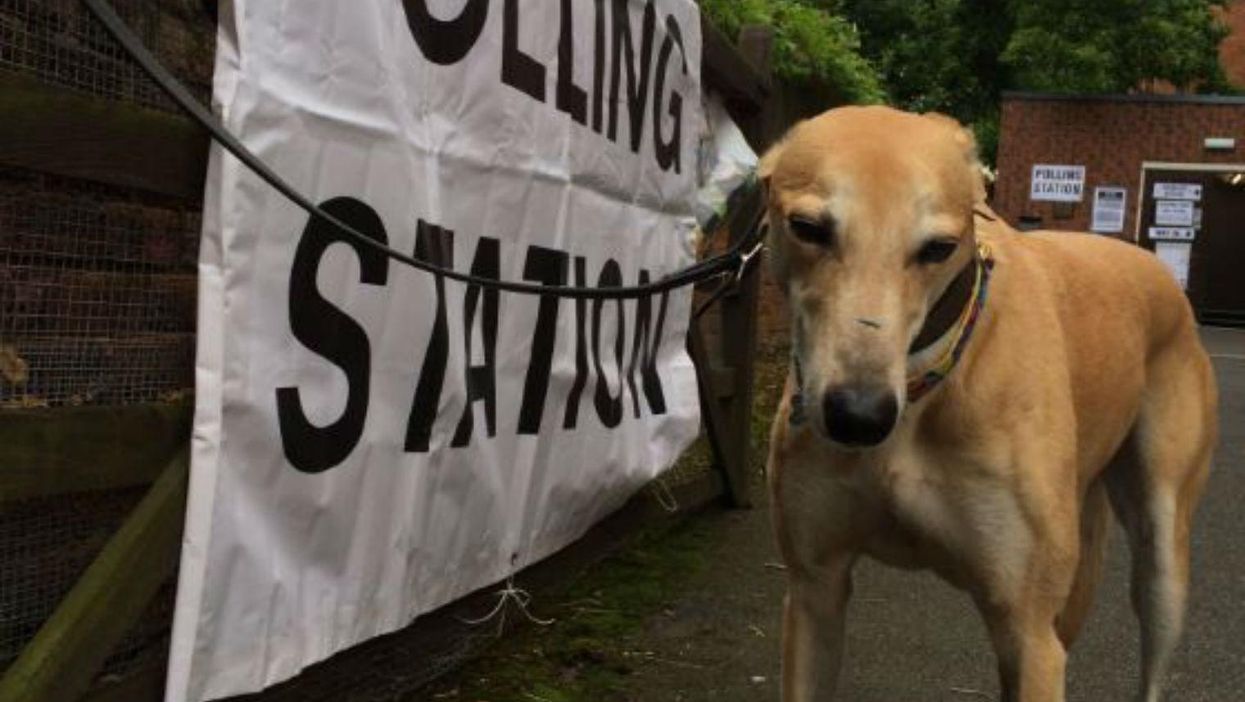 Picture: Kate Bottley/Twitter