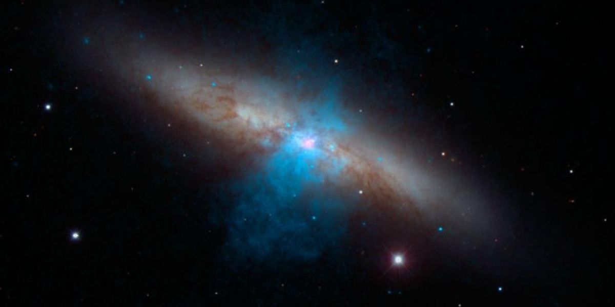 Nasa Library Internet trend has people searching for the photo NASA took on day they ...