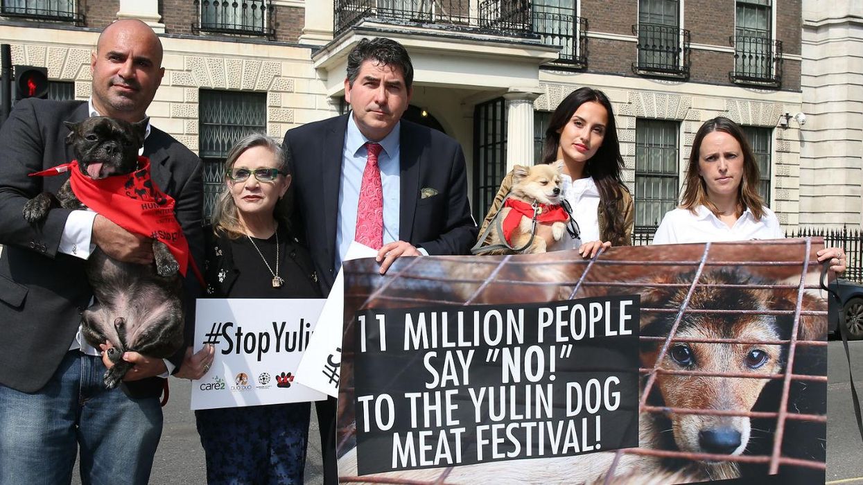 Picture: Neil P. Mockford/Getty