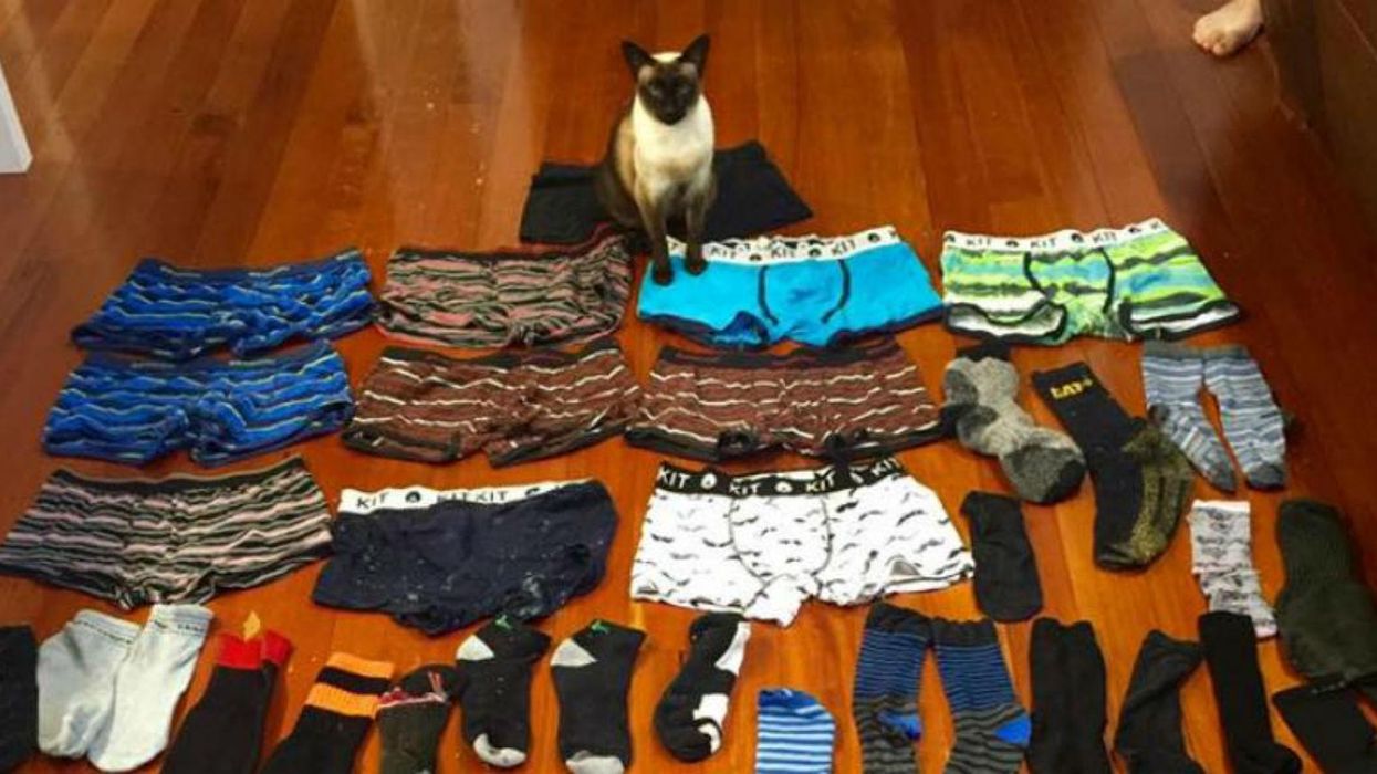 (Picture: Sarah Nathan/Facebook