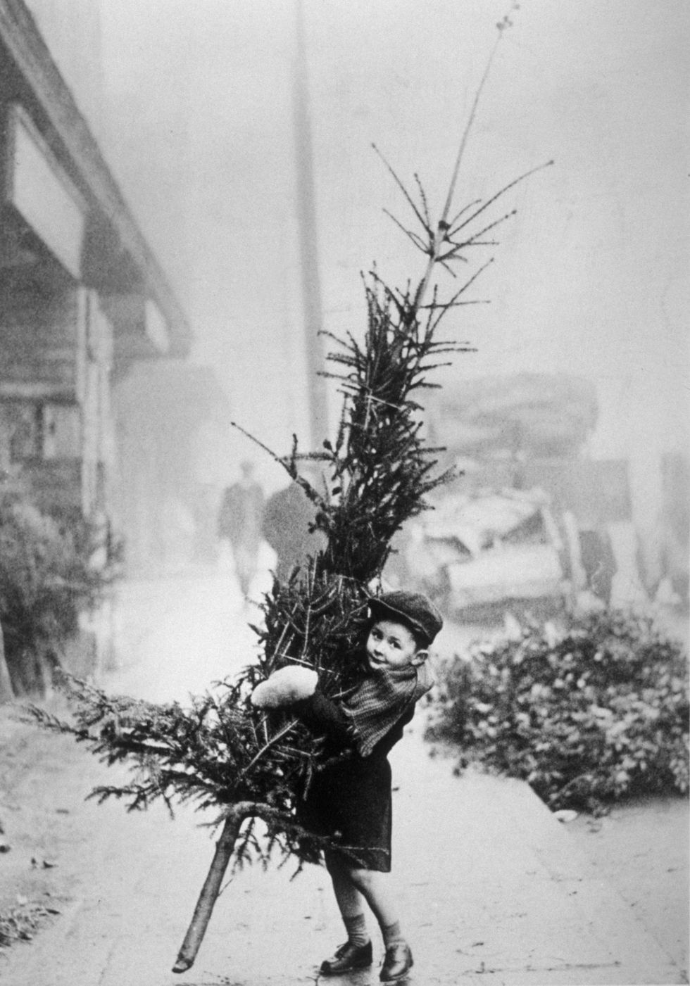 Picture: Young boy carrying christmas tree