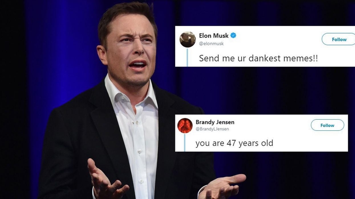 Elon Musk asked Twitter to send him their 'dankest memes' and it