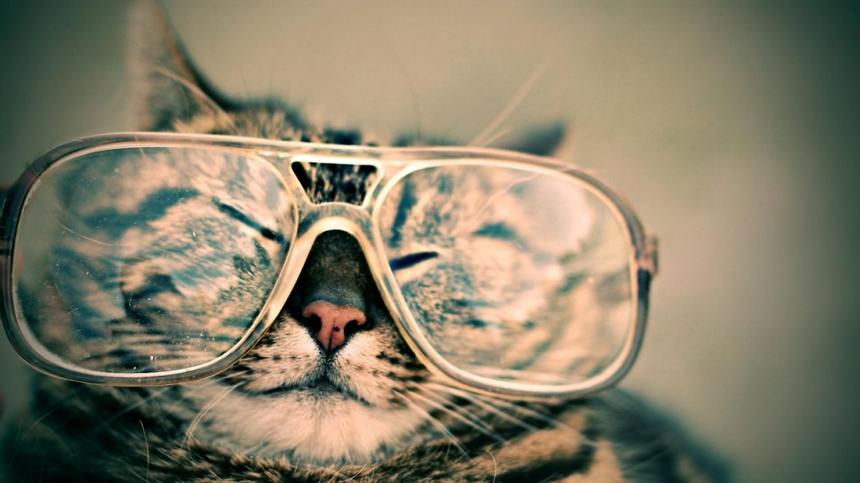 Picture: