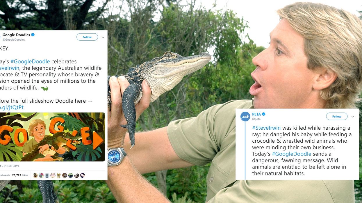 PETA called Steve Irwin an animal 'harasser' and people are furious |  indy100 | indy100