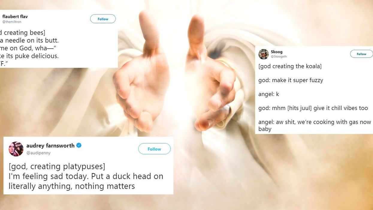 Hilarious Twitter meme imagines what God was thinking when he created the  world | indy100 | indy100