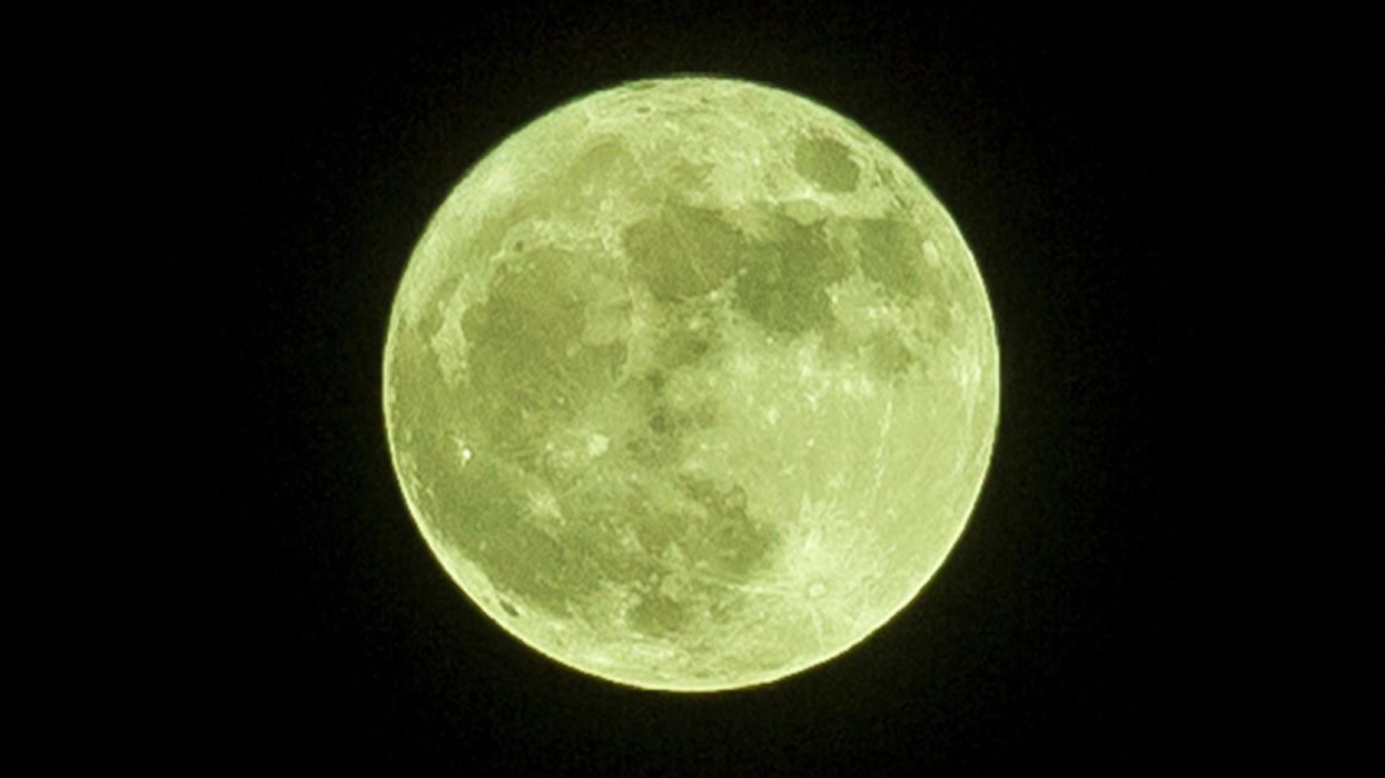 Picture: