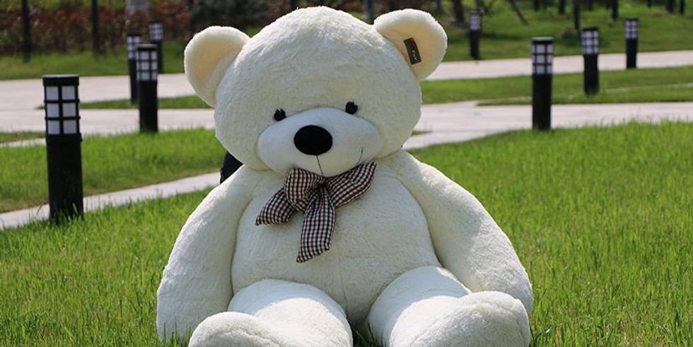 Picture: