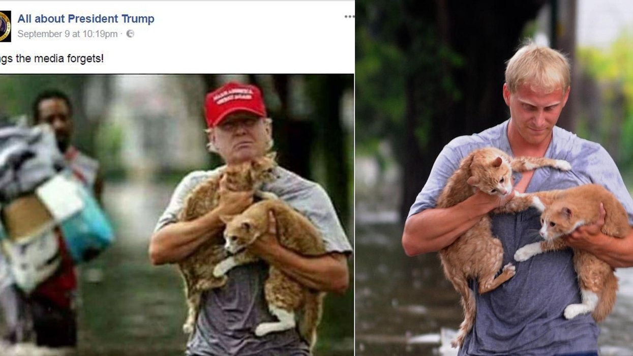Trump Rescuing Cats Donald Trump fans are sharing a fake picture of him saving cats from a ...