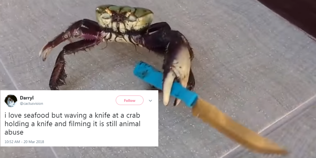 The true story behind the viral knife crab is actually disturbing | indy100  | indy100