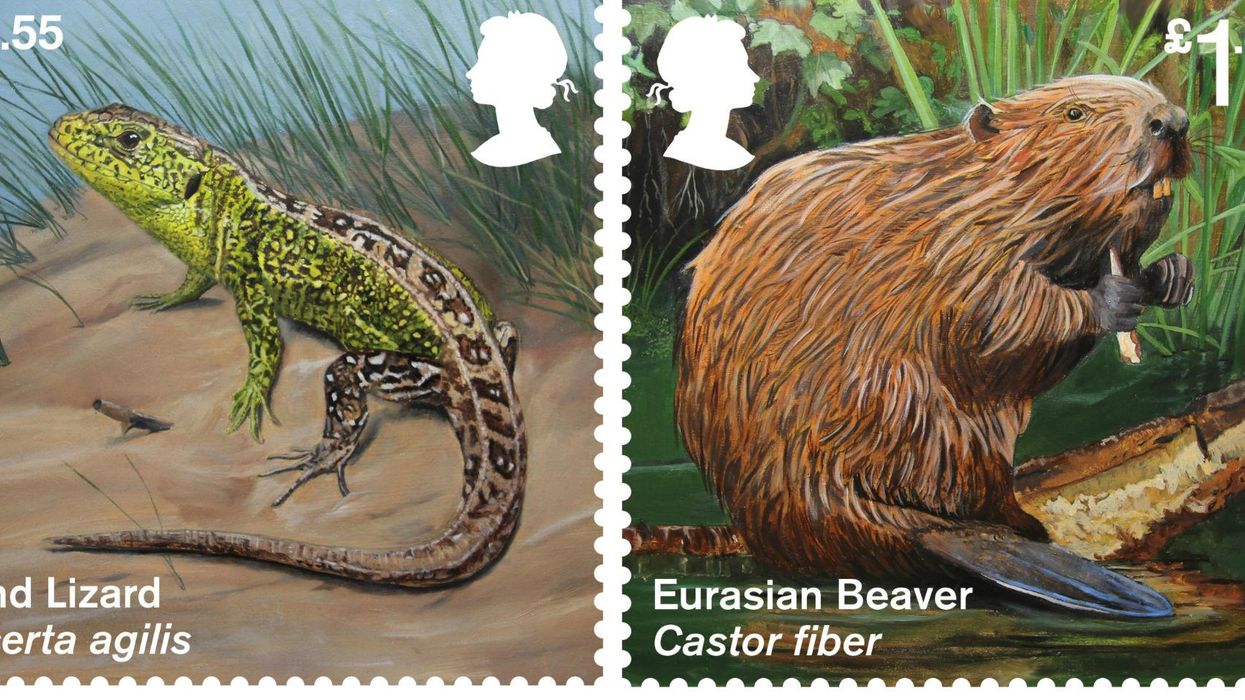 Pictures: Courtesy of Royal Mail