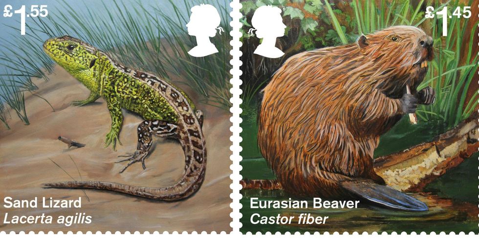 Pictures: Courtesy of Royal Mail