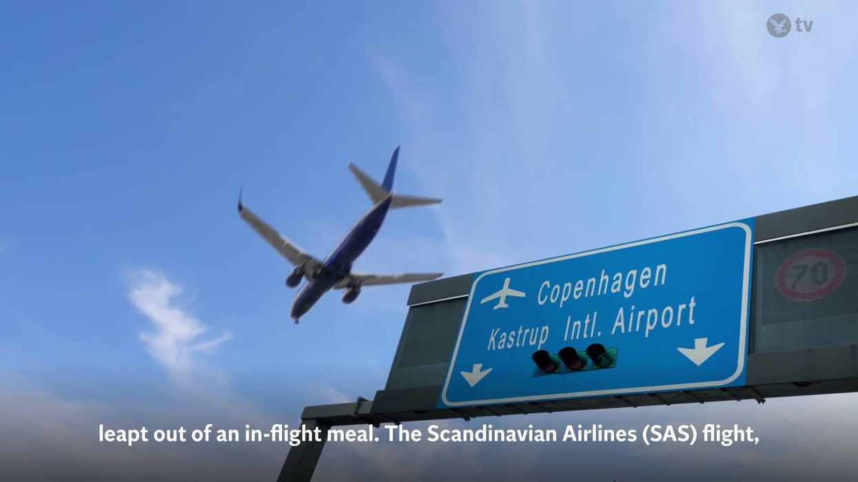 Pilot surprises passengers with thoughtful gesture after long flight delay