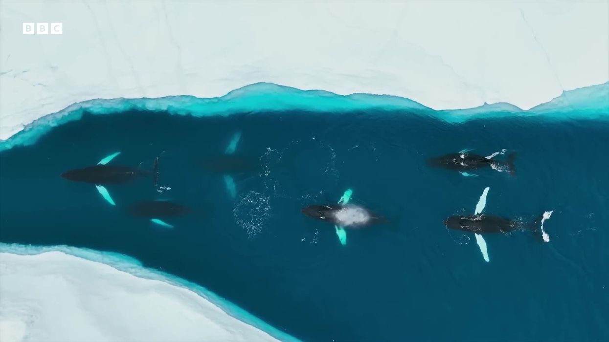 Scientists predict Earth's days are going to get longer and longer