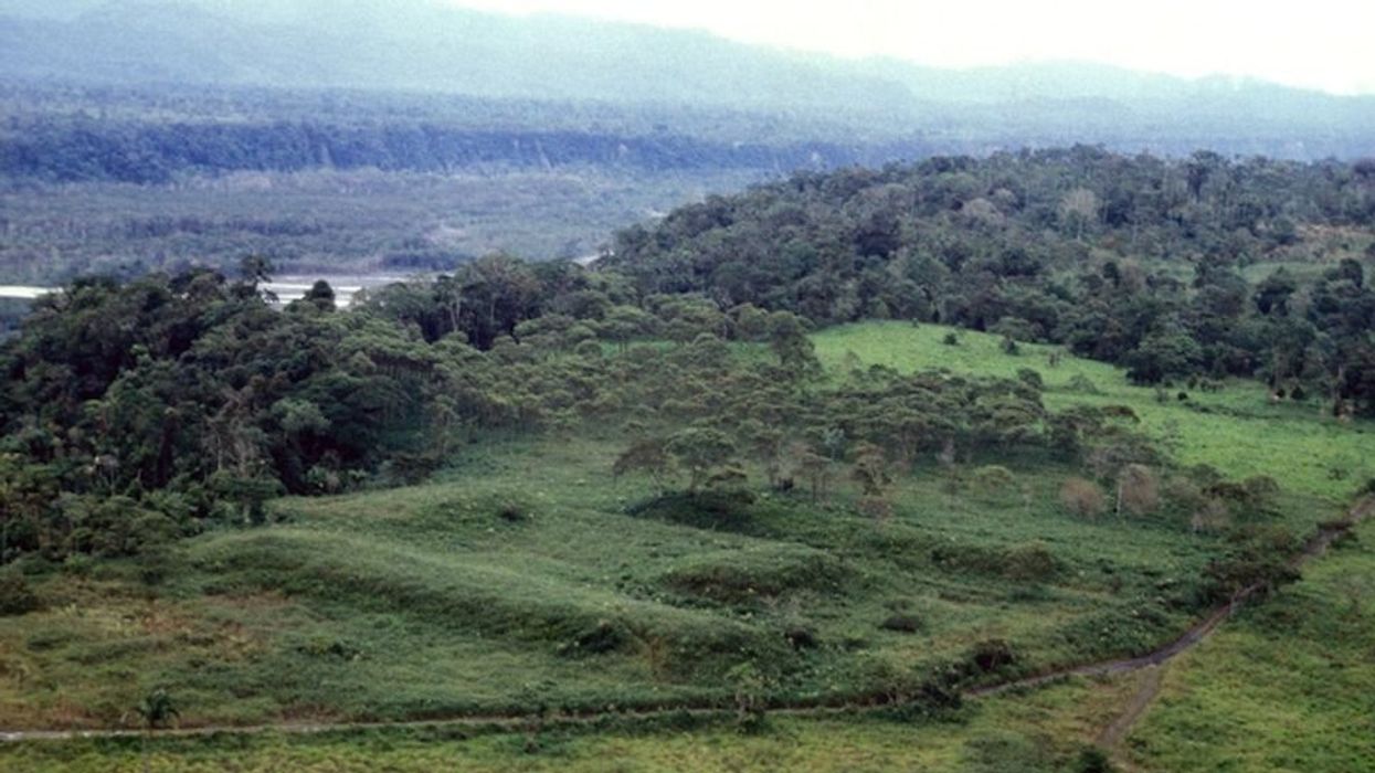 Lasers unearth complex network of structures deep in the Amazon rainforest