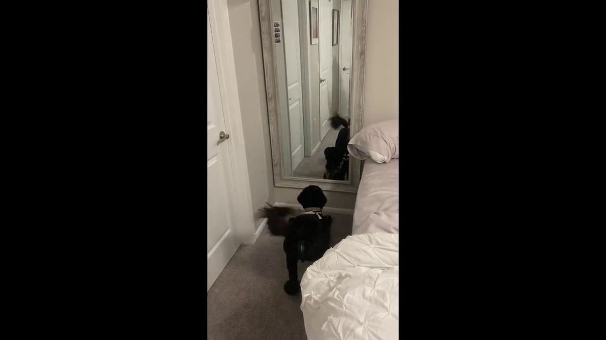 TikTok's mirror trick trend explained