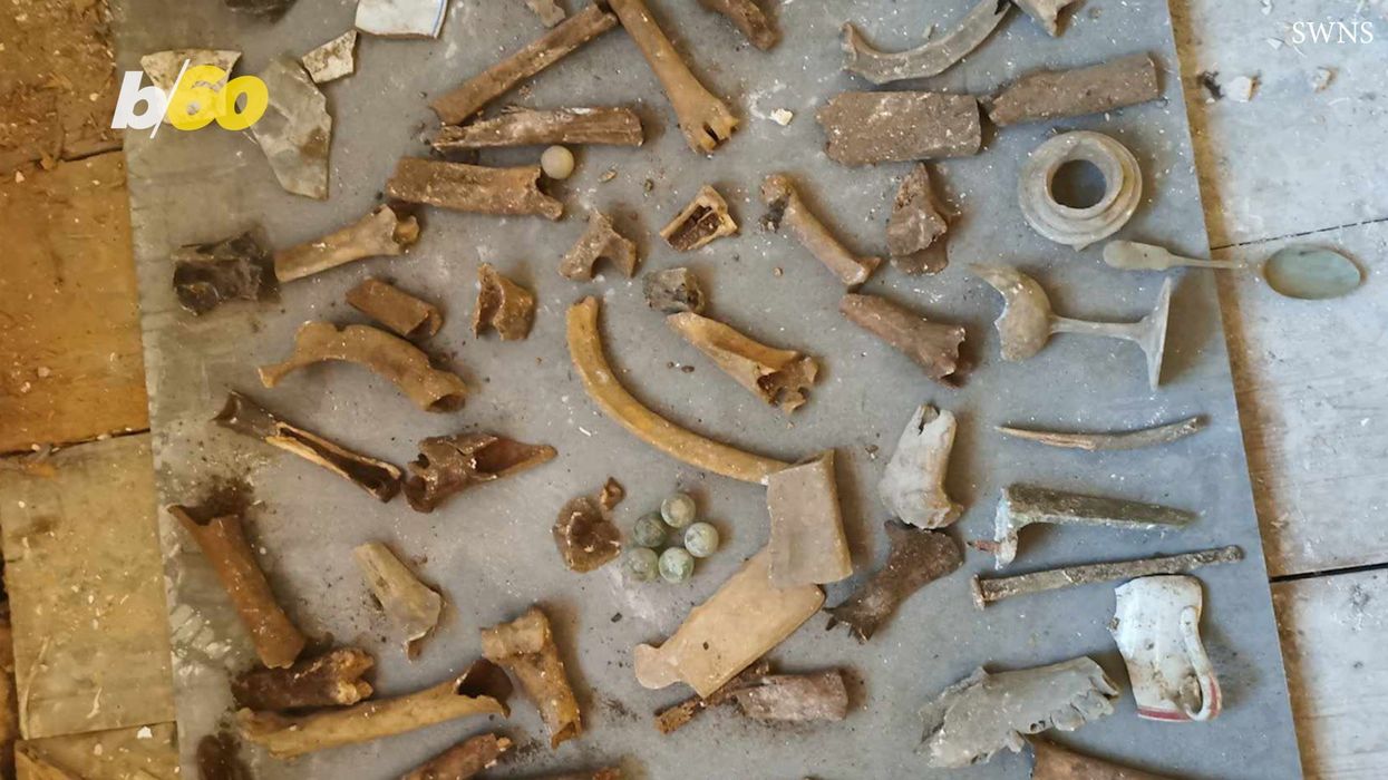 Disturbed plumber finds pile of bones underneath customer's bathroom