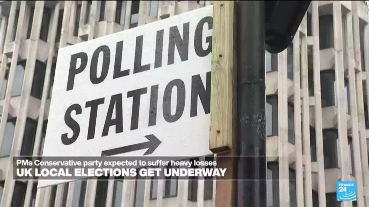 12 of the best 'dogs at polling stations' photos for the 2024 local elections