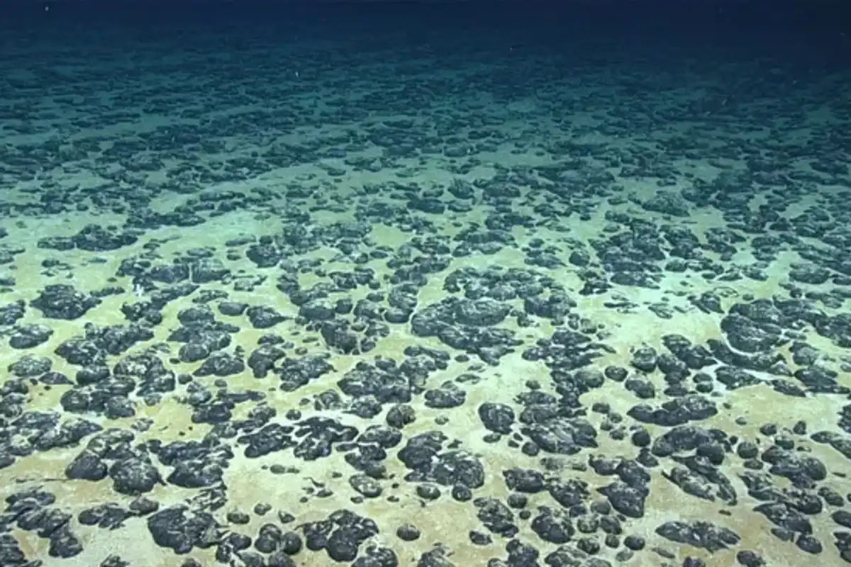 Polymetallic nodules scattered across the seabed of the Pacific Ocean's Clarion-Clipperton Zone (CCZ)