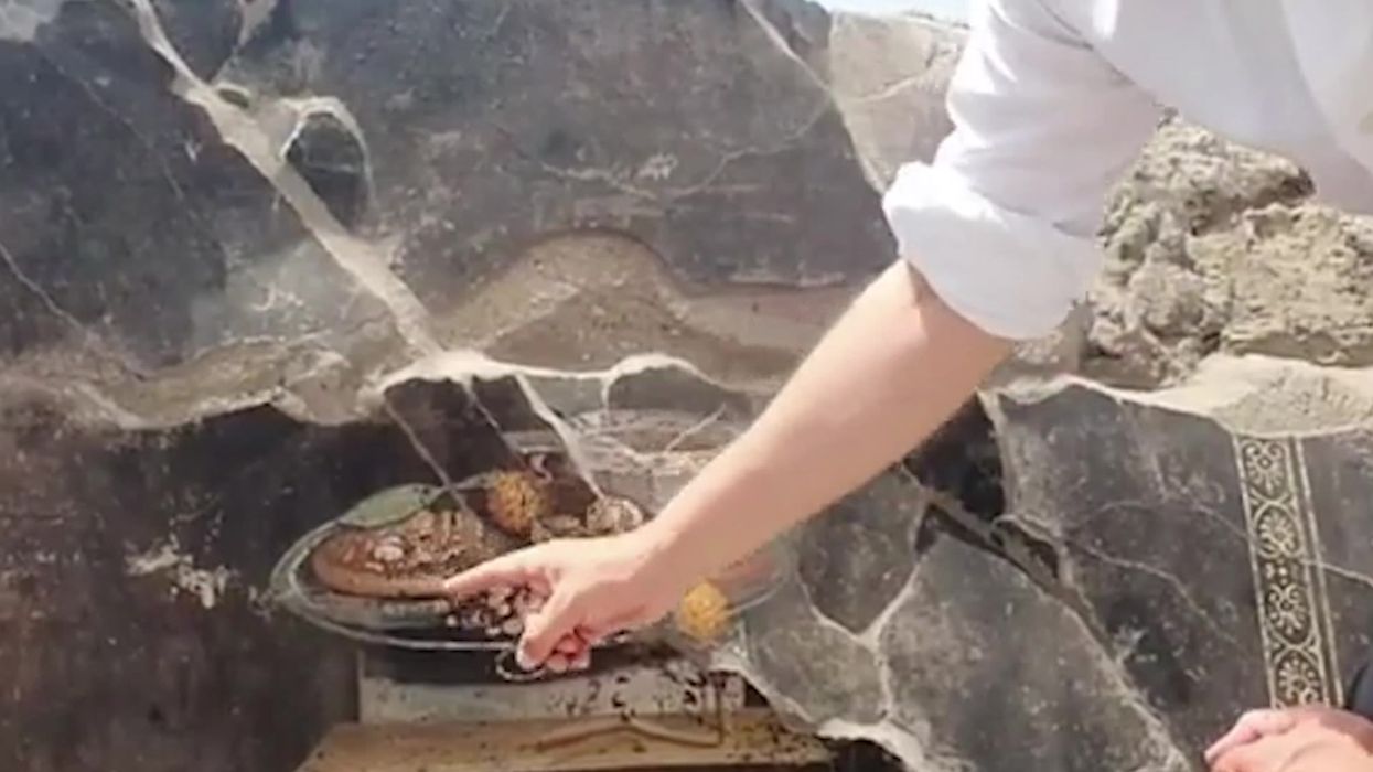 'Pizza' spotted in 2000-year-old painting