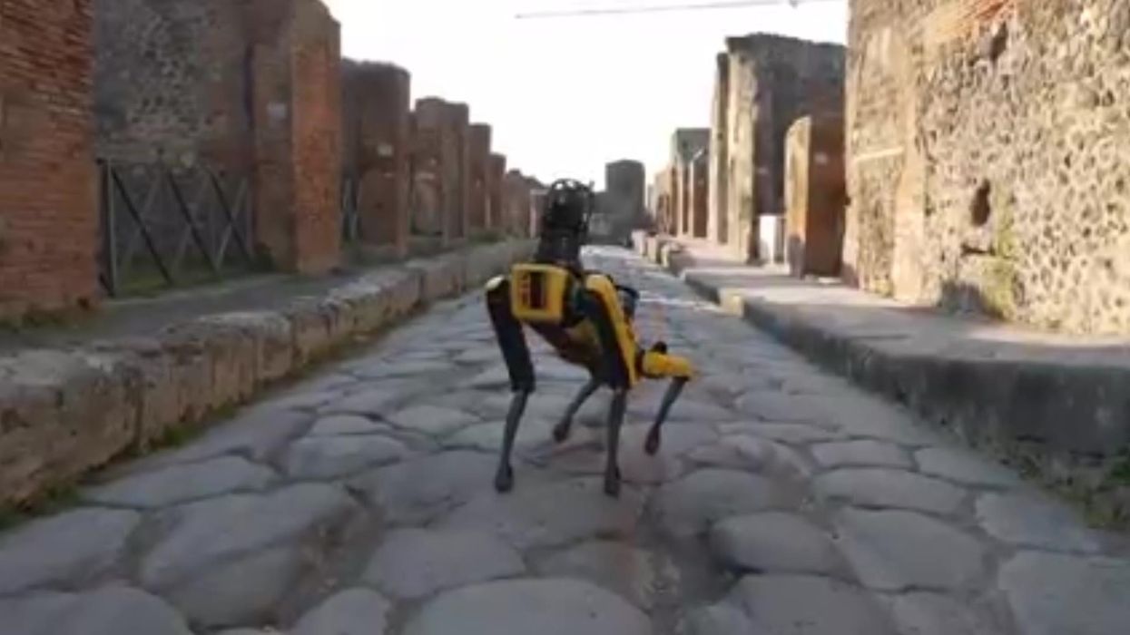 Pompeii hires robot dog to help stop relic thieves