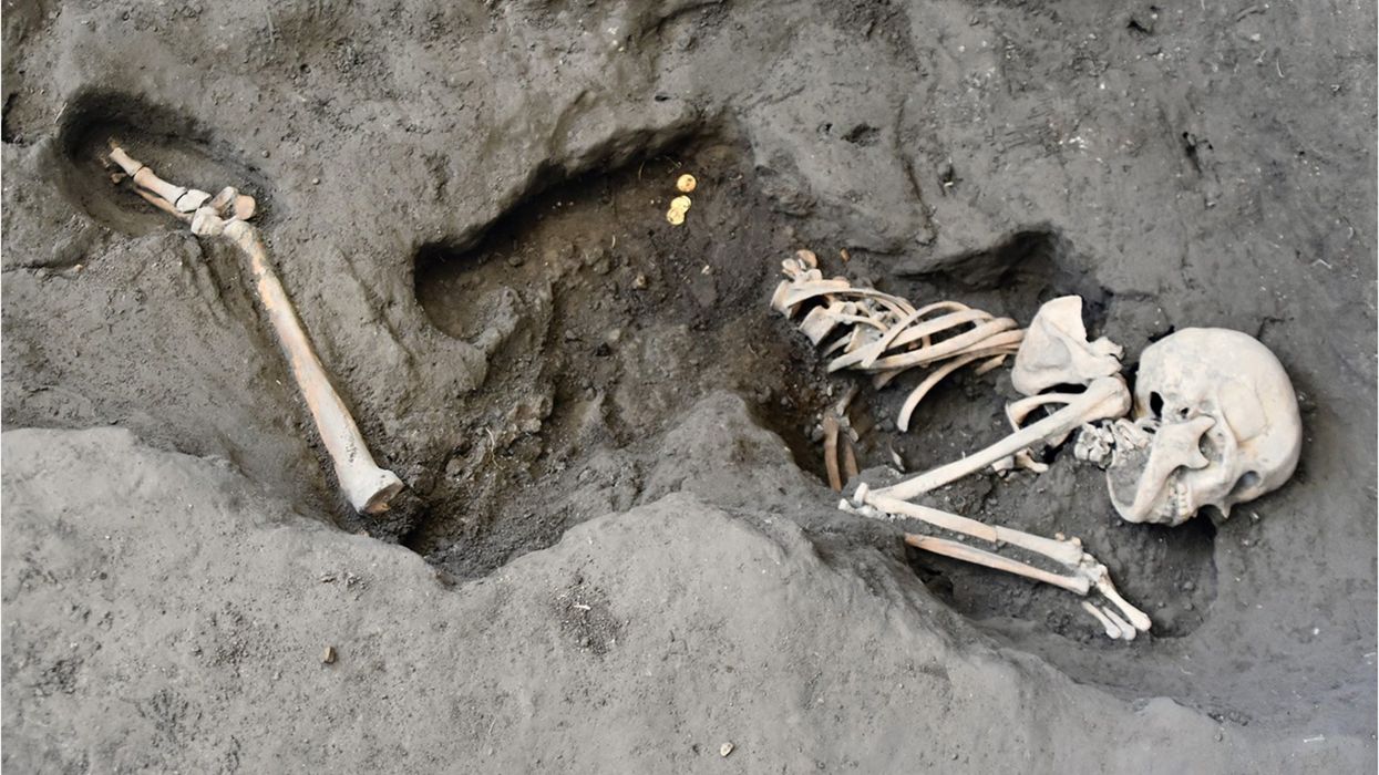 Scientists uncover surprising truth about identity of Pompeii victims