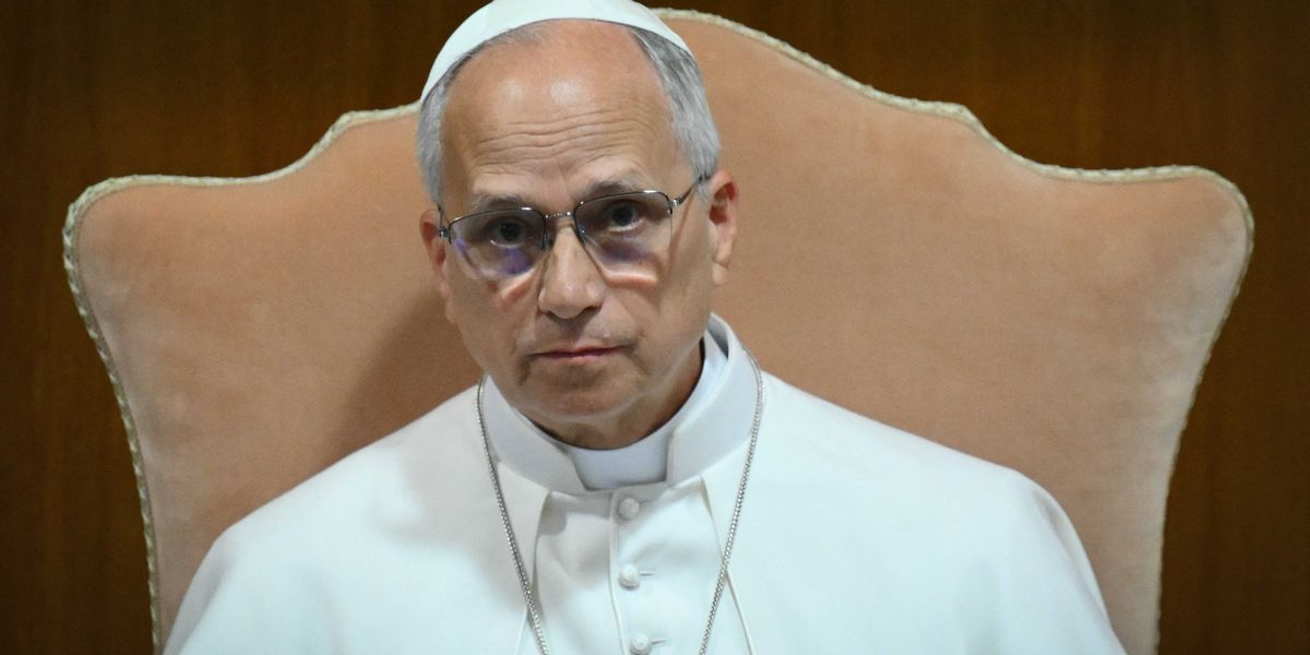 Pope Leo praised for AI intervention: ‘Silicon Valley is having a meltdown'