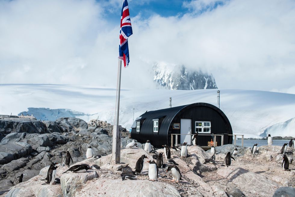 Staff wanted to watch penguins and run gift shop in Antarctica