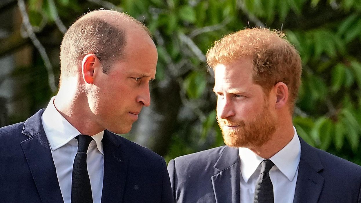Prince Harry was 'pushed to the ground by William' in alleged physical altercation - biggest reactions
