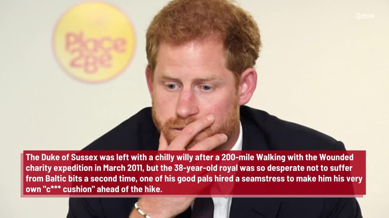 People are calling this extract from Prince Harry's book 'a Freudian nightmare'