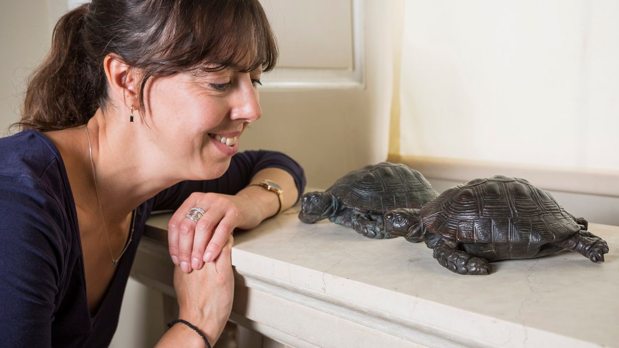 <p>Property curator Elena Greer in the entrance hall at Kingston Lacy, Dorset, with the recovered bronze tortoises (James Dobson/National Trust/PA)</p>