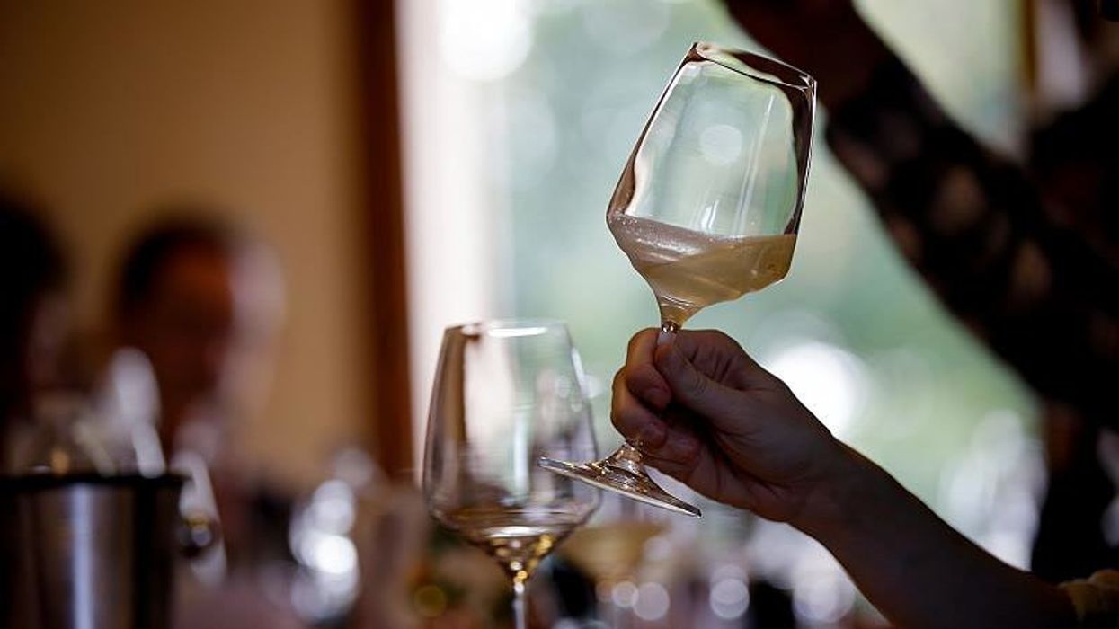 Scientists believe that Prosecco is at 'risk' and will soon be 'wiped out'