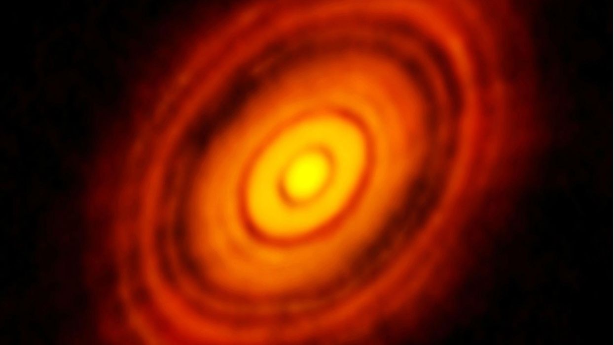 Protoplanetary discs surround the young star HL-Tauri