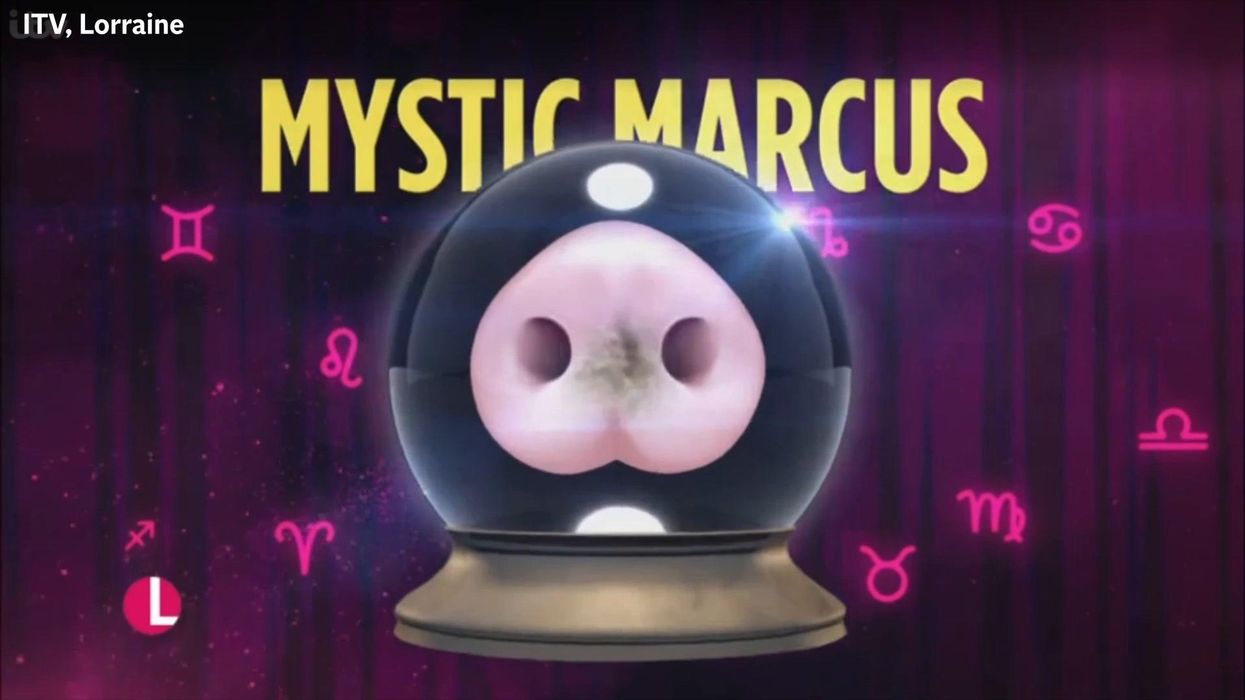 A 'psychic' pig predicted Boris Johnson's resignation