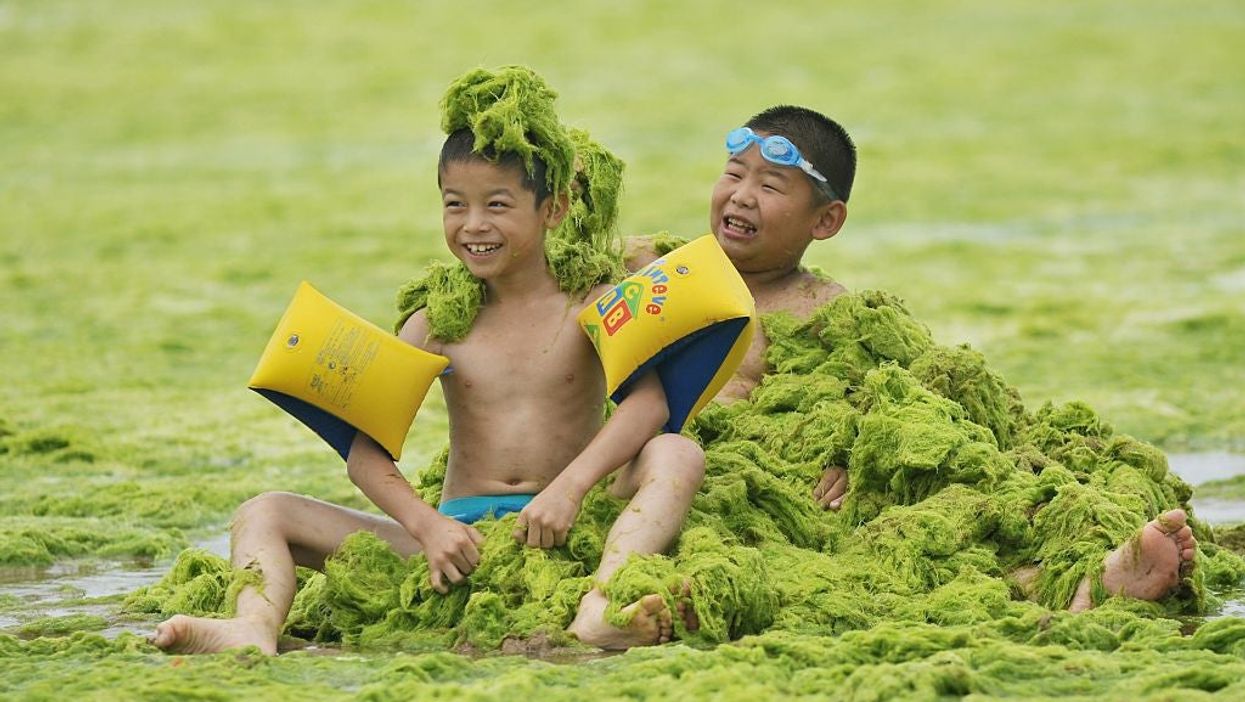 Qingdao, China, 20 July 2015. Like Boracay Bay in the Philippines, this Chinese beach also regularly suffers from algal bloom.