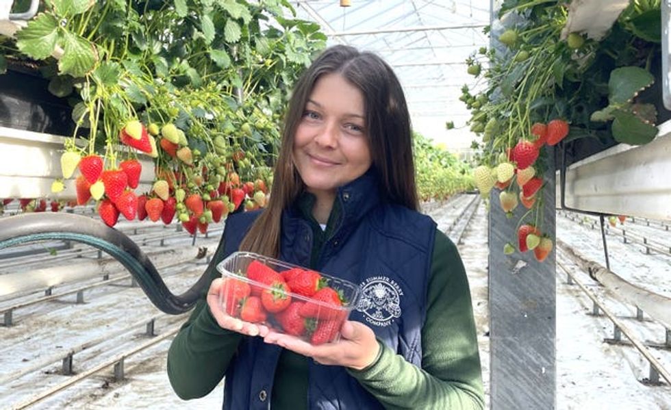 Quality manager Silvia Sandu shows off some of the strawberries