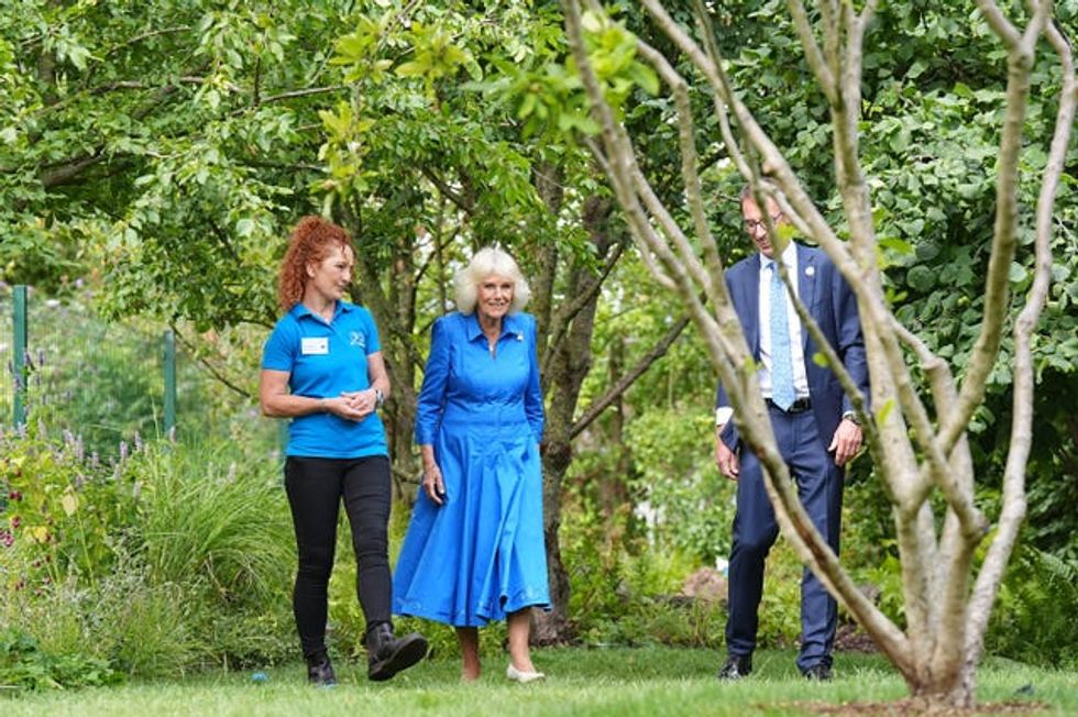 Barking up the right tree: Monty Don’s garden brings joy to dogs after ...