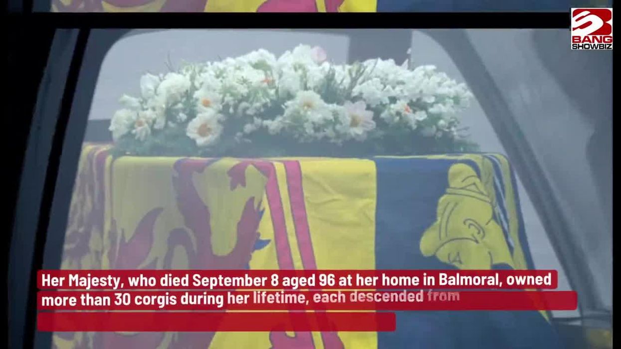 What will happen to the Queen's corgis?