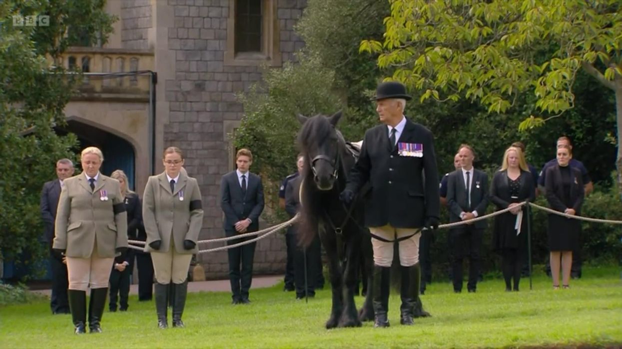Queen's beloved pony watches funeral march through Windsor Castle grounds