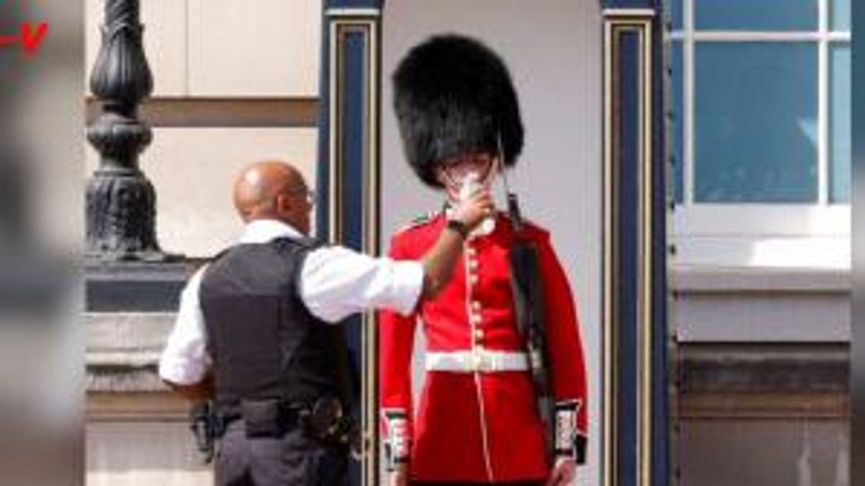 Tourists say they'll 'never return to London' after being yelled at by royal guard