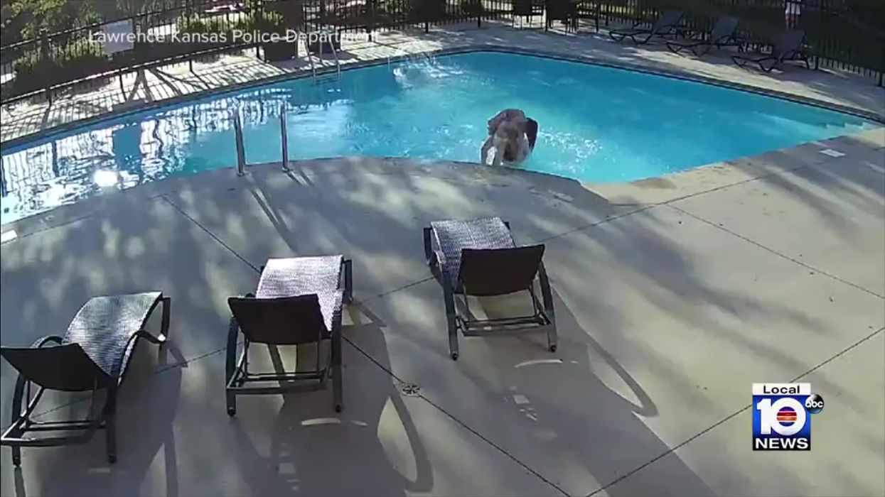 Woman left taking antidepressants after neighbour’s dogs bark constantly