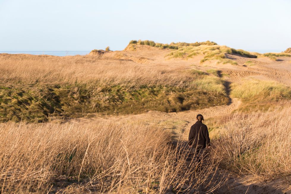 New life for old tobacco dump in sand dune landscape to help nature