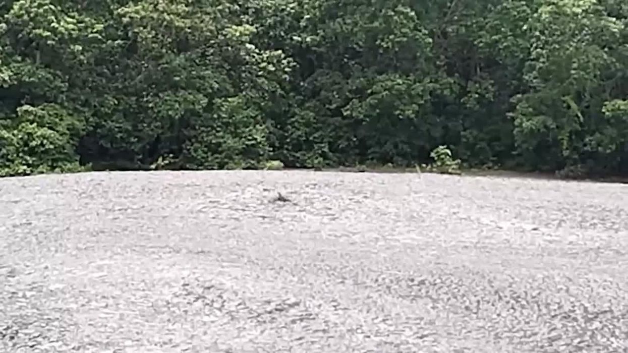 A new island has appeared in the Pacific Ocean as if from nowhere