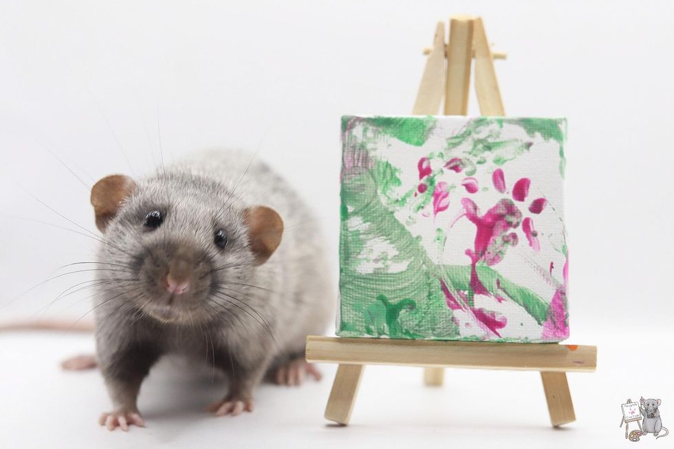Rat next to mini painting