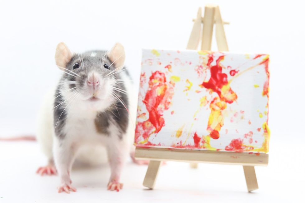 Rat next to mini painting