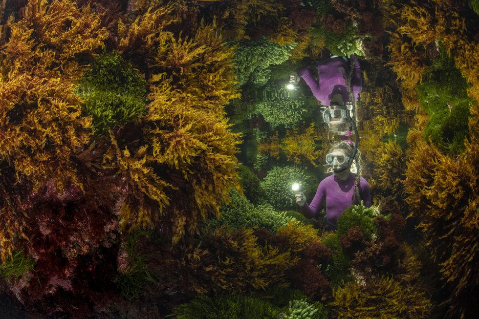 Reflections by Justin Gilligan, which won the Wildlife Photographer of the Year: Plants and Fungi Award (Justin Gilligan/Wildlife Photographer of the Year/PA)